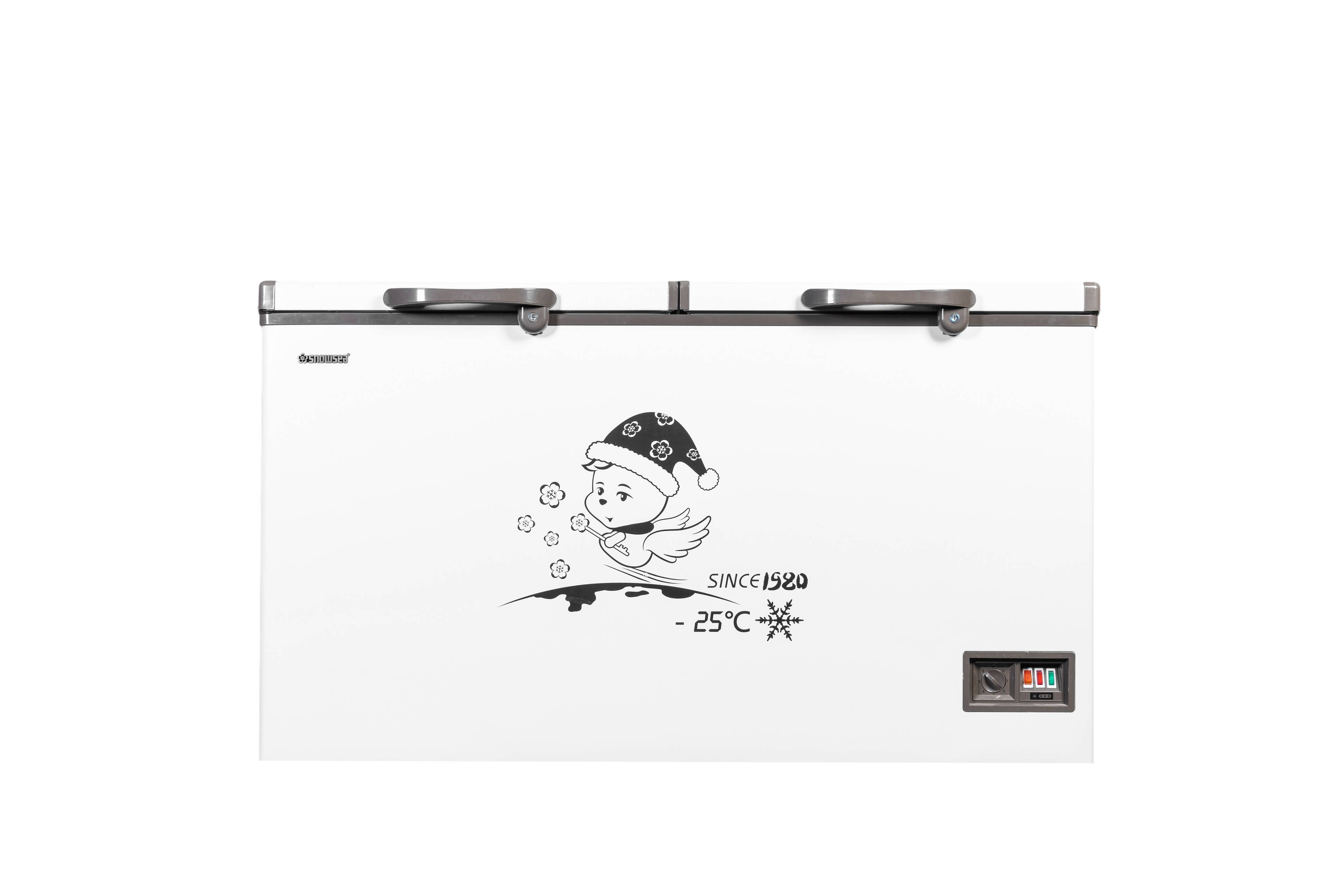 Freezer BD-500