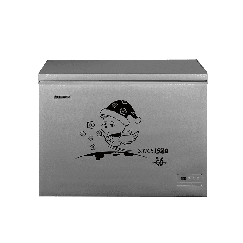 FREEZER BD/BC-227WA