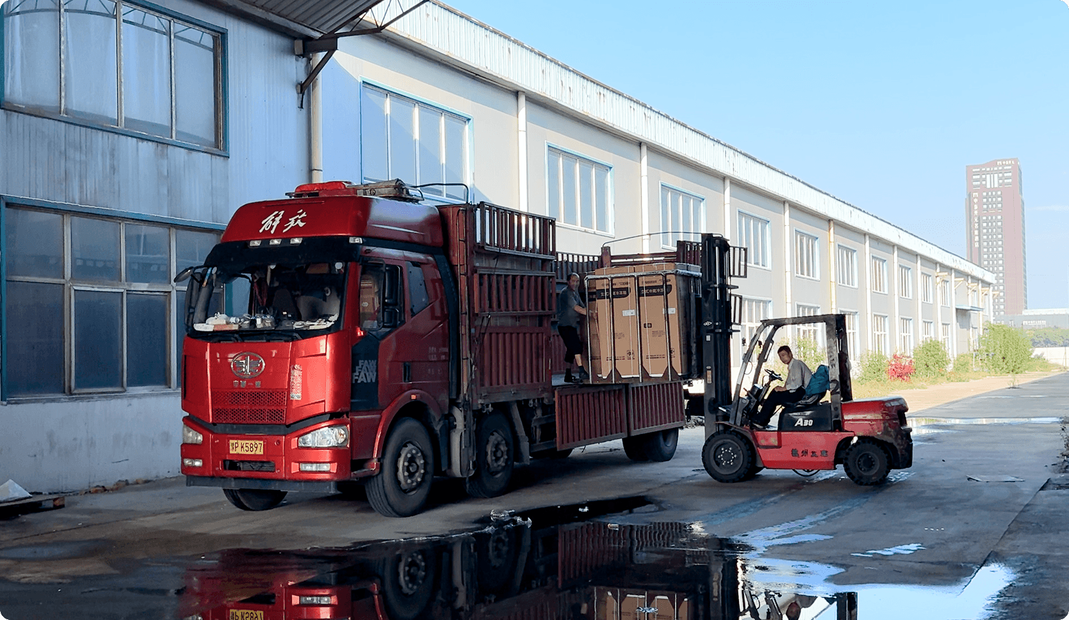 Global Export Capability